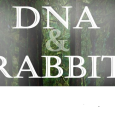 Belfrey Players present DNA by Dennis Kelly, prior to taking it to the Isle-of-Man Easter Drama Festival. Belfrey Youth Theatre present their recent production of Rabbit by David Foxton. boxoffice@belfreytheatre.com or 01952 222277 for tickets   Updated:Saturday, April 19, 2014